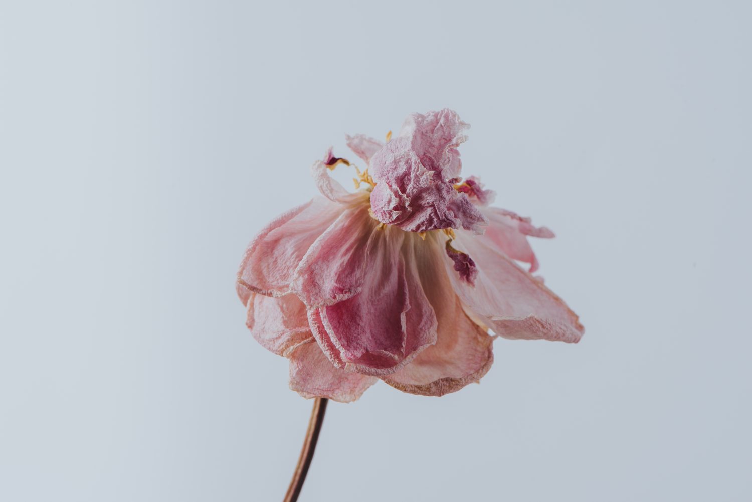 利己的な人にはちょっと気をつけよう