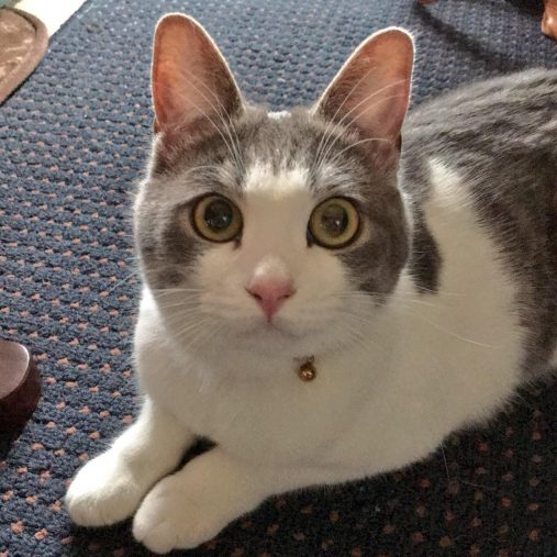 今はあささん夫婦と穏やかな日々をすごす