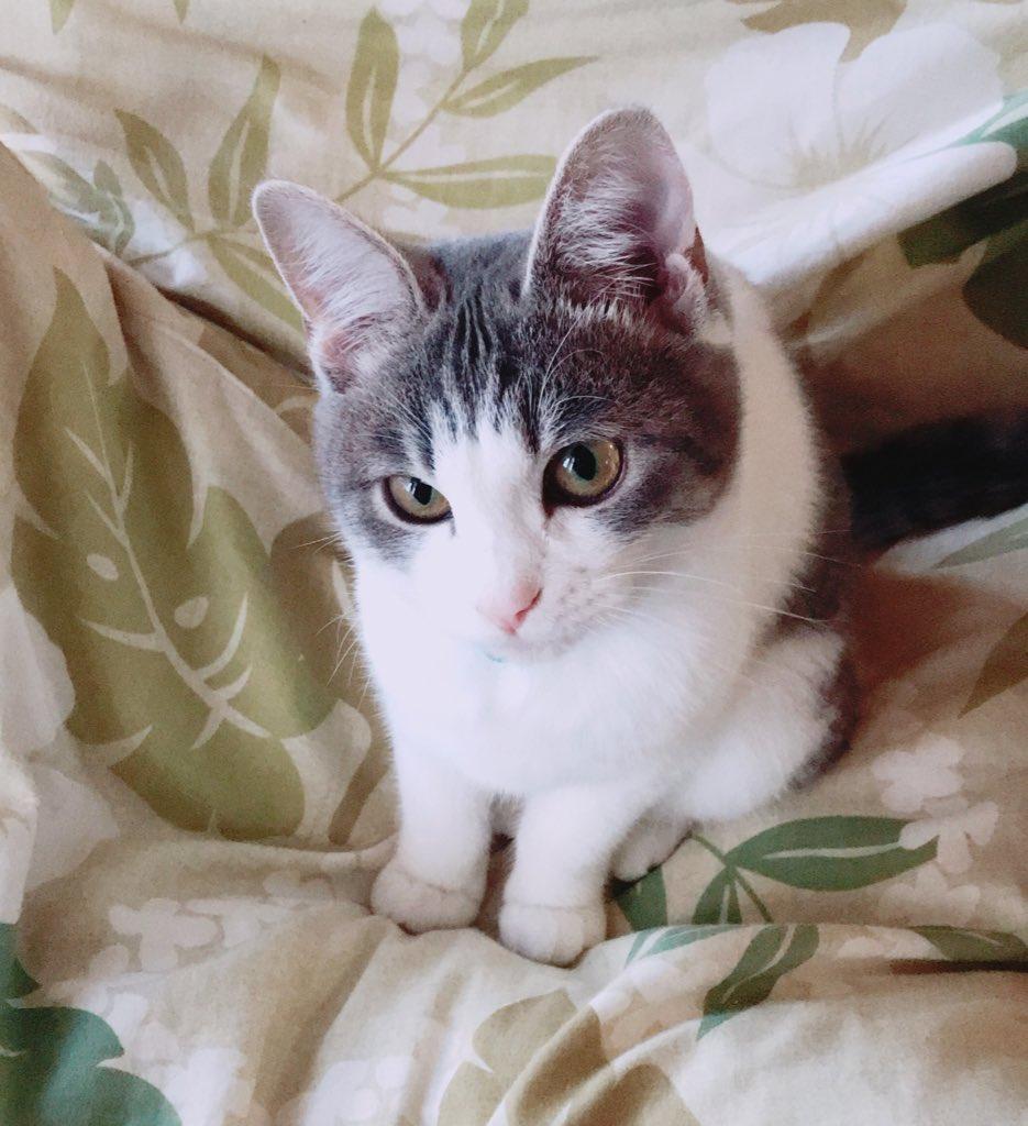 体の傷は治っても、心の傷は簡単には癒えなかった