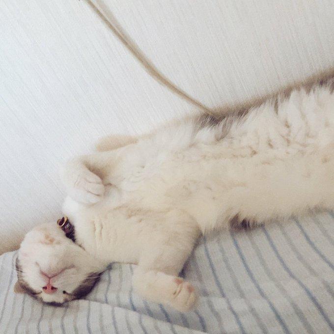 徐々に心を開いていき…