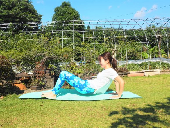 （2）お尻を床から浮かせたら、ひじを曲げてお尻を下ろす～持ち上げる×20回-2