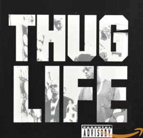 「Thug Life: Vol. 1」 Intes