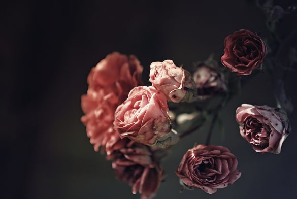 (3)これから先の性生活に希望がないなら…