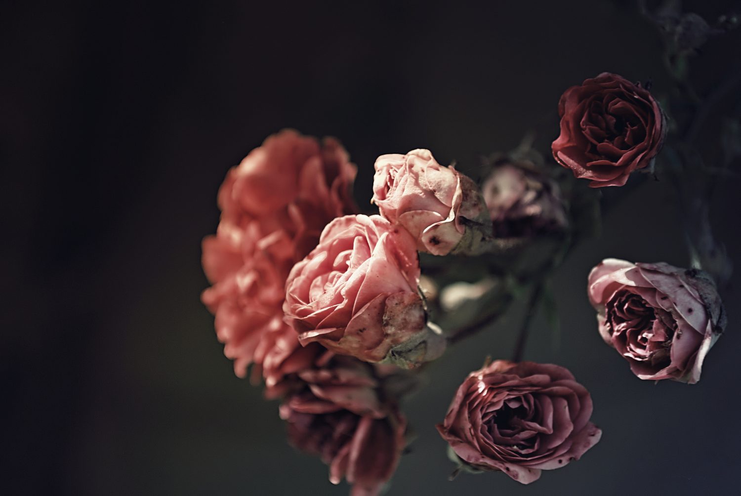 (3)これから先の性生活に希望がないなら…