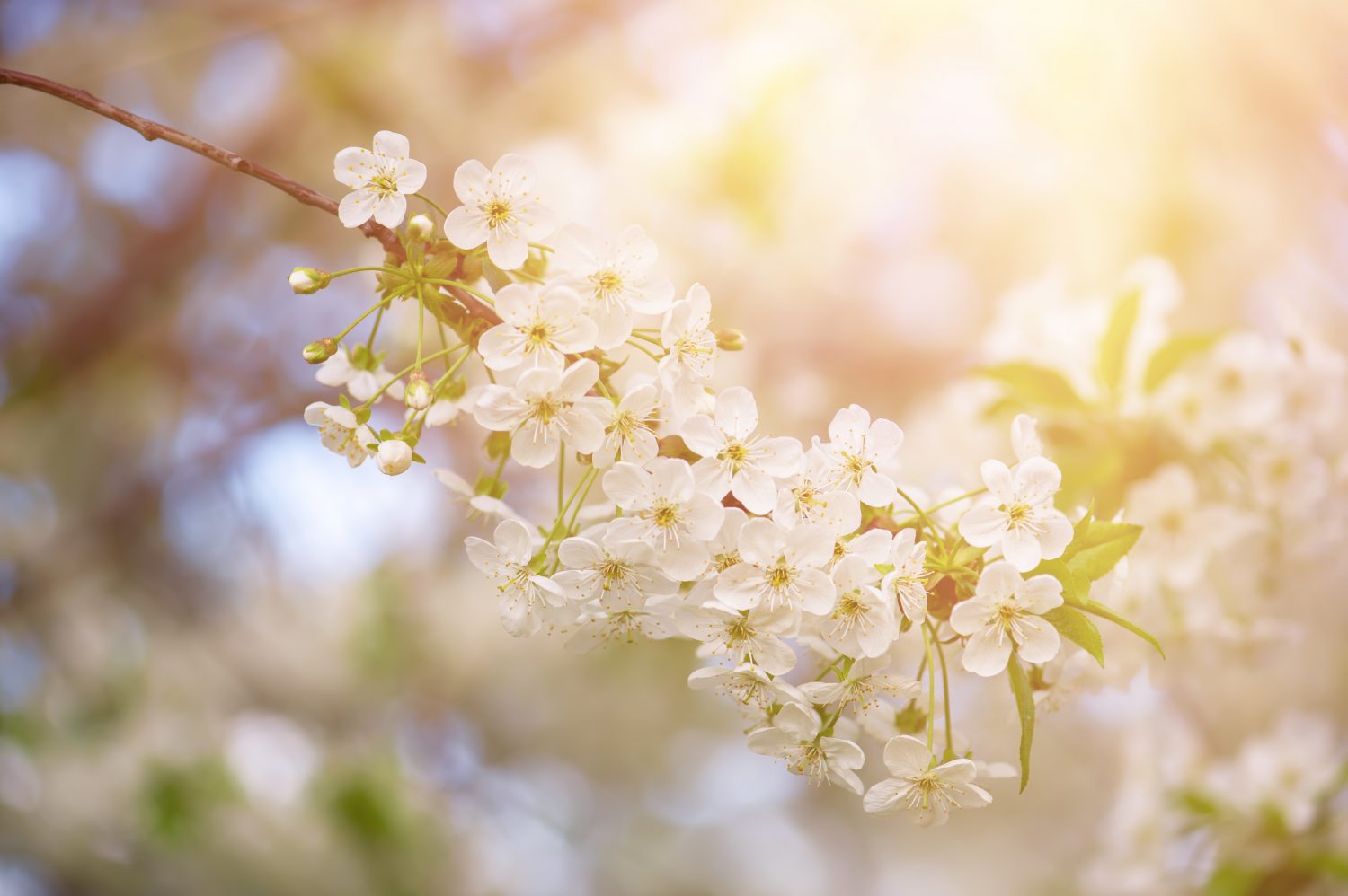 いい相手が見つかったらまた恋愛してください