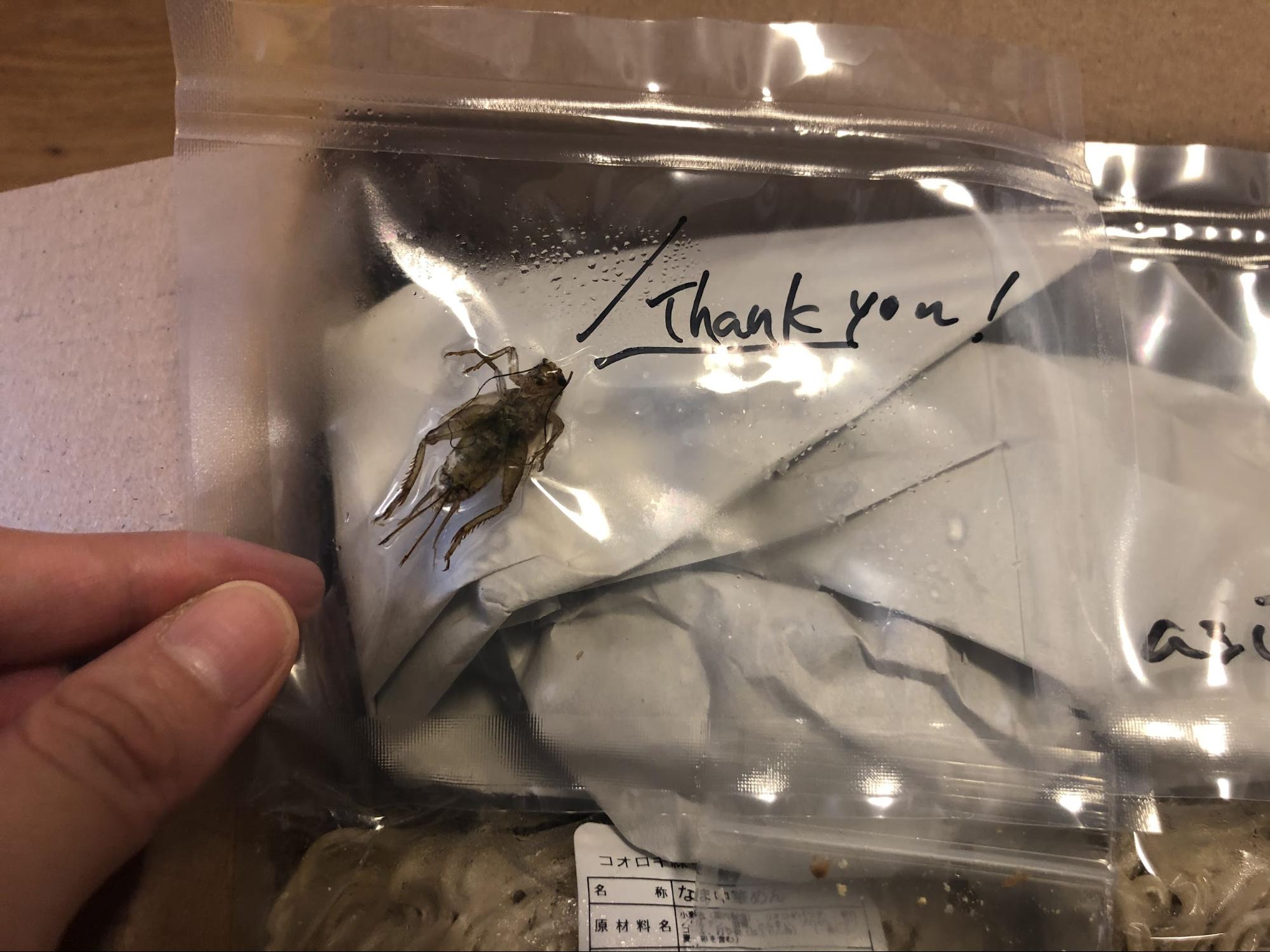 胴体や手足が長くてカッコいい。「Thank you!」だそうです