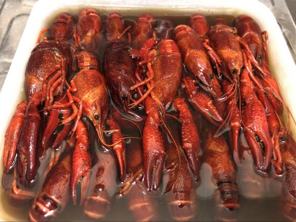 苦手な人は苦手ですよね……