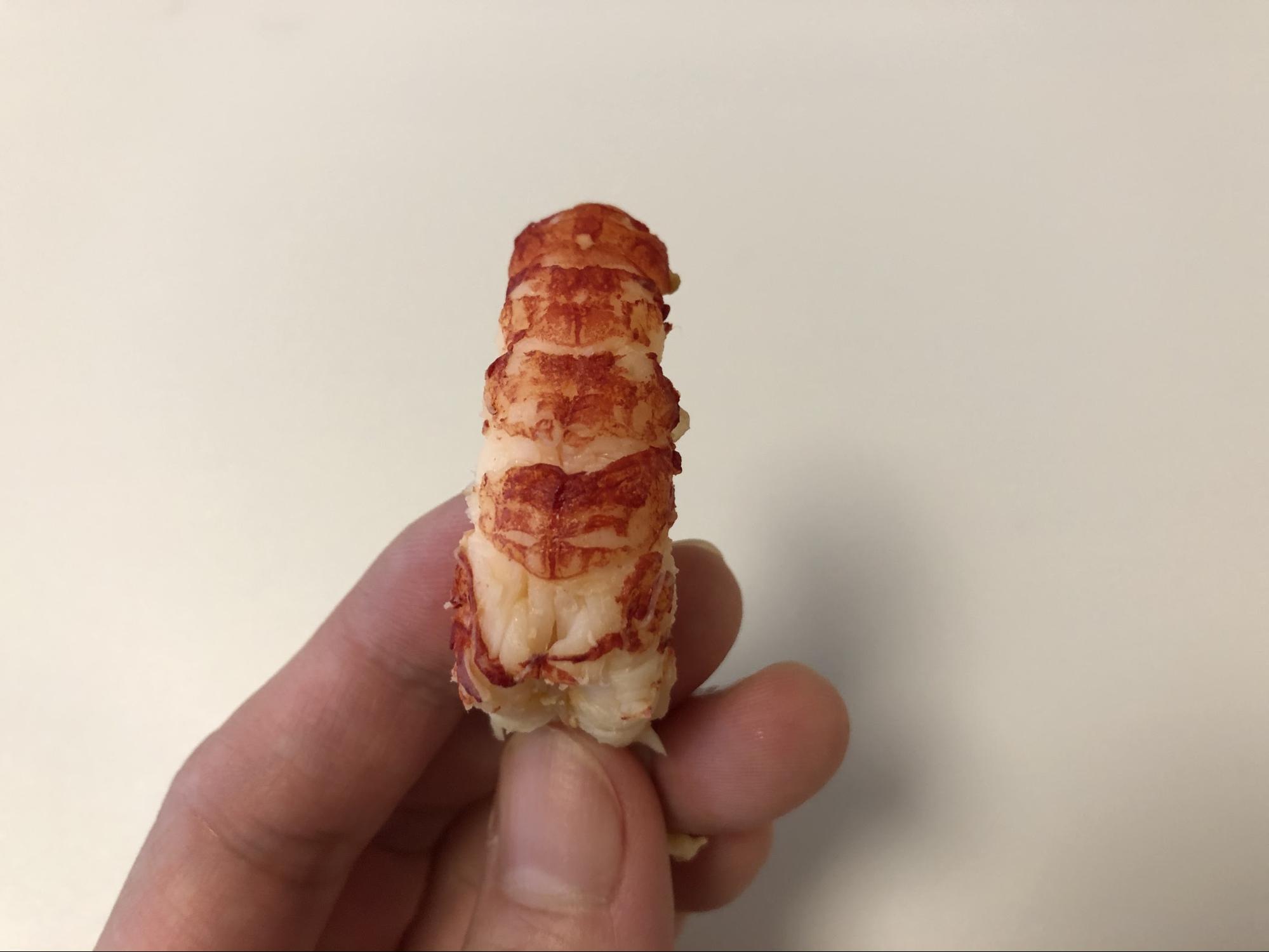 胴体はシャコのような見た目