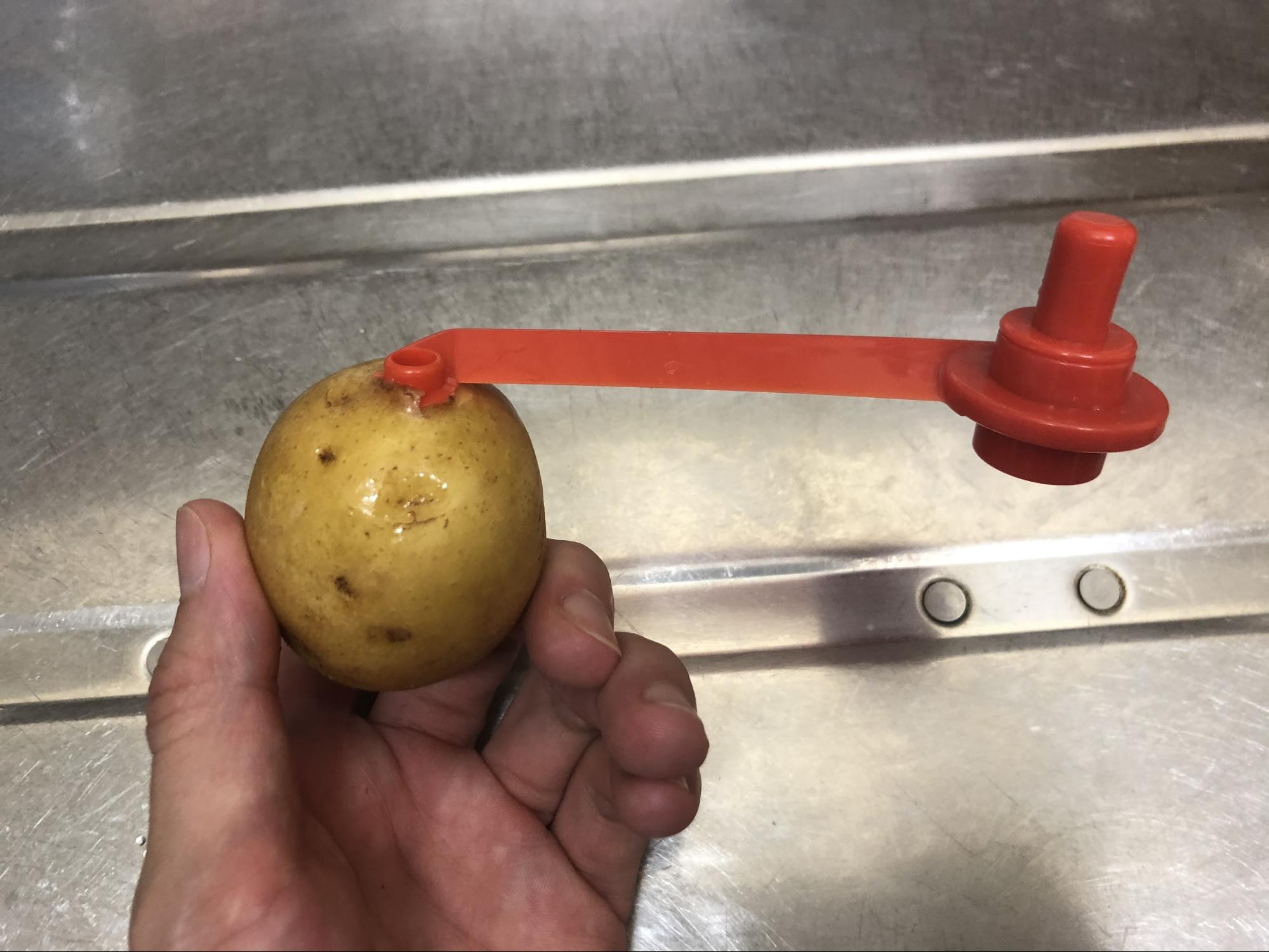 野菜は、直径3〜10cmの縦にも横にも厚みがあるものがおすすめ