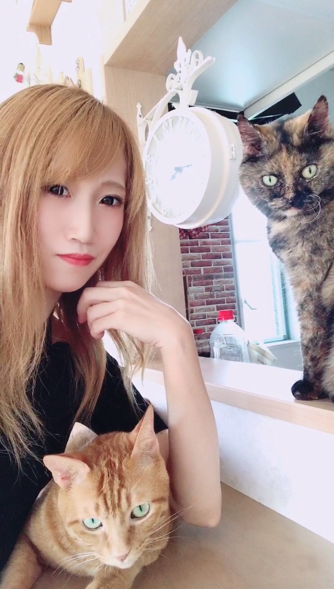 筆者とおキャット様たち