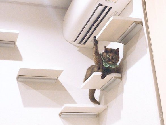 (画像:ゆあ@yunc24291 Twitterより)