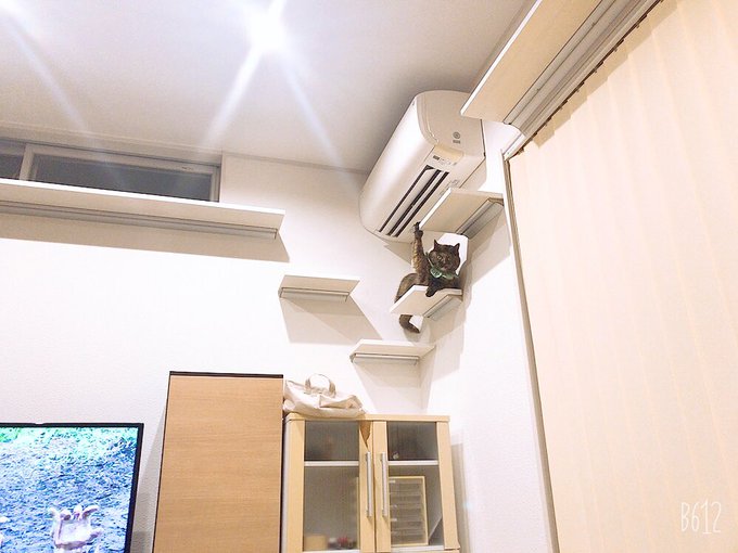 （画像：ゆあ@yunc24291　Twitterより）