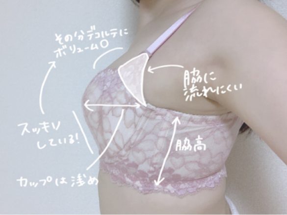 おすすめ補整下着2-2・ハリジェンヌ2