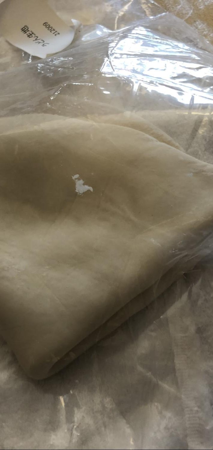 大きい餃子の皮にも見えます