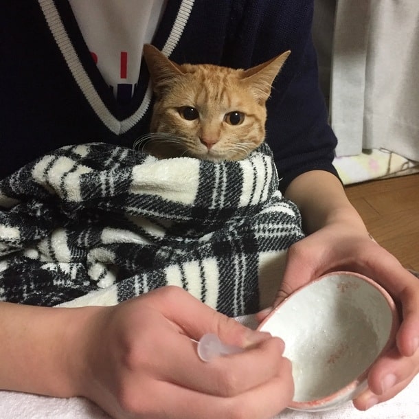 投薬時も優しく包み込む