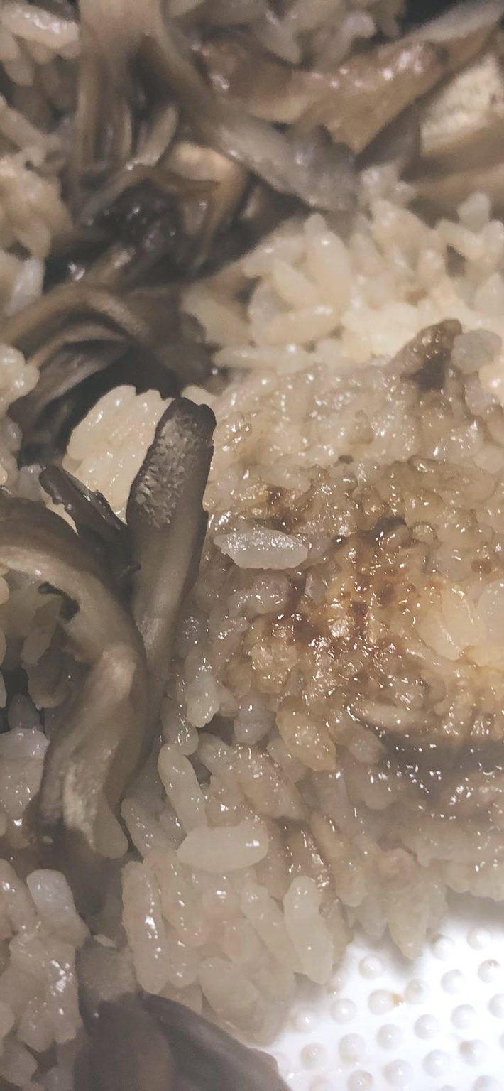 「炊飯中に部屋を満たす舞茸香も、いい感じのおこげも、食べて口に広がる秋感も、幸せ要素しかなかった」とのこと