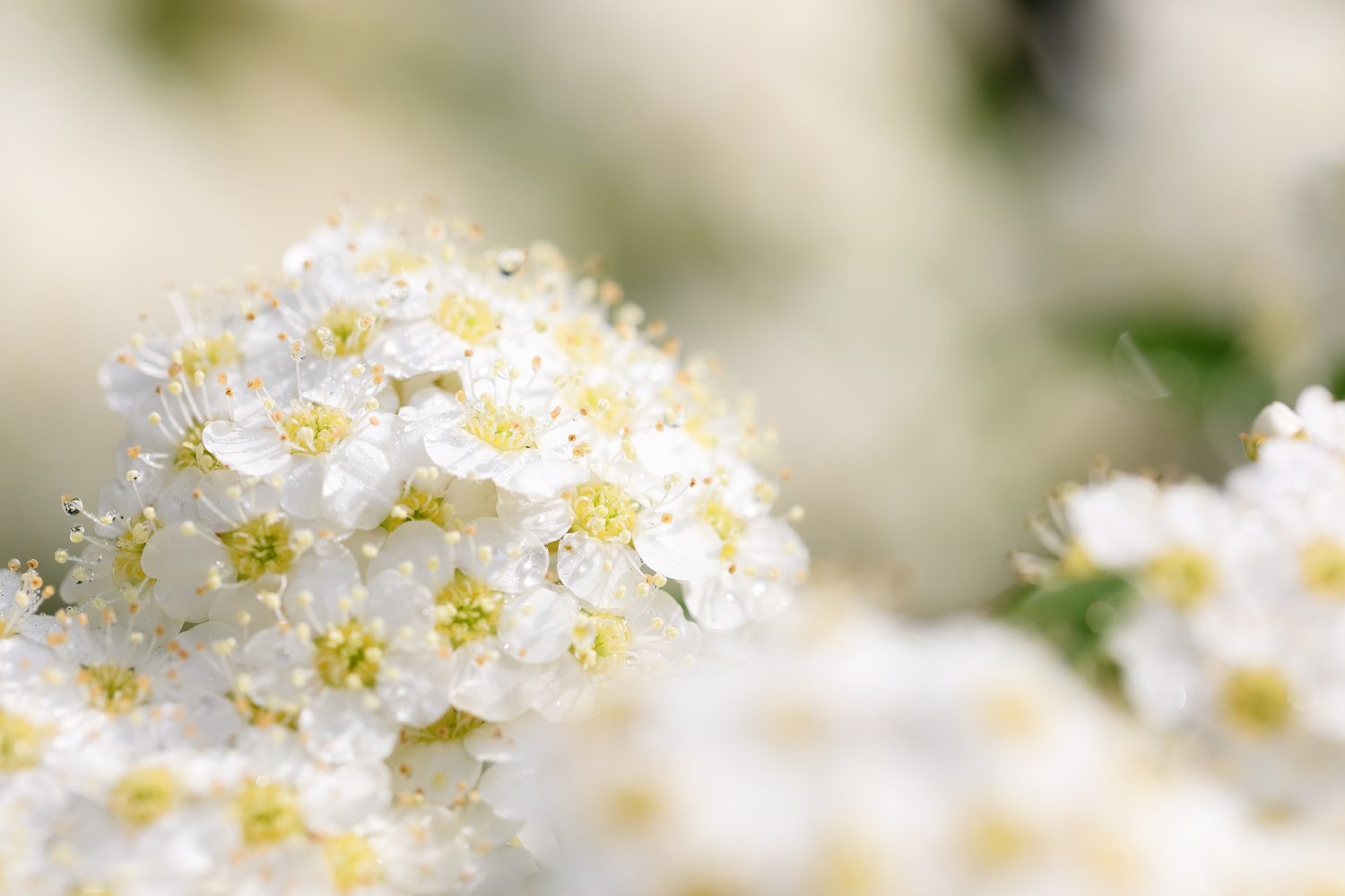 孤独を受け止めください