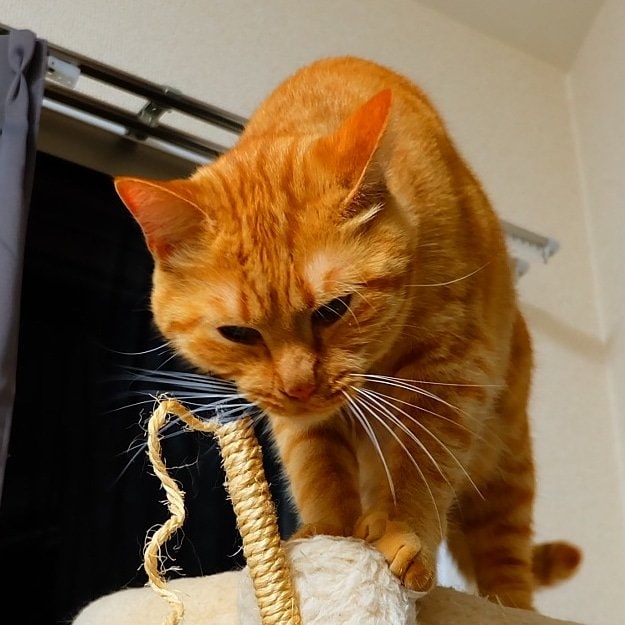 さまざまな表情を見せてくれる