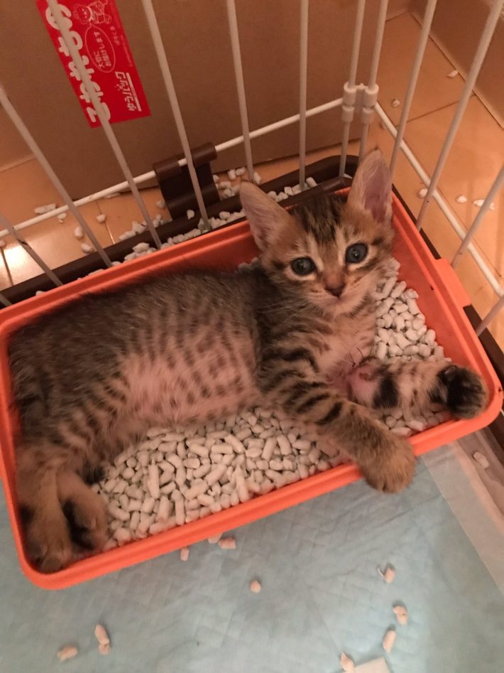 通院しながら、スクスクと成長