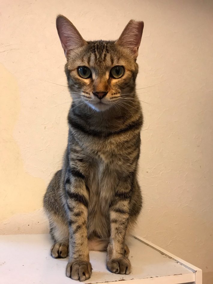 実はわがままガール!?