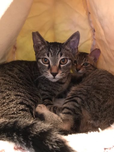 レオンくんと仲良し