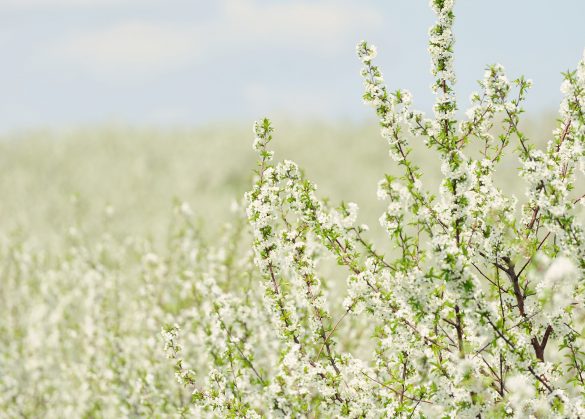 あなたは悪くないから、自分を責めないで