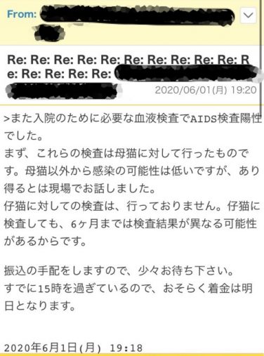 猫の譲渡詐欺10