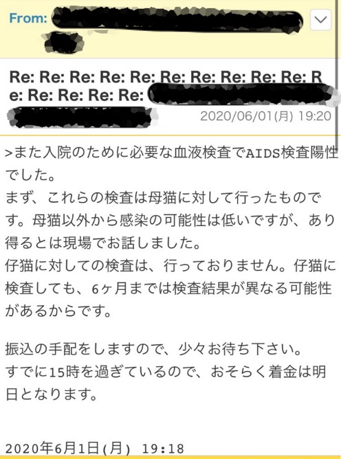 猫の譲渡詐欺10