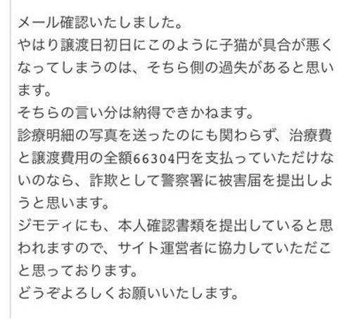 猫の譲渡詐欺13