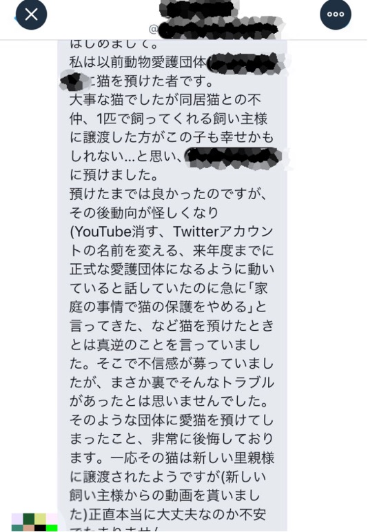 猫の譲渡詐欺17