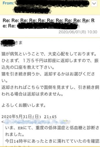 猫の譲渡詐欺6