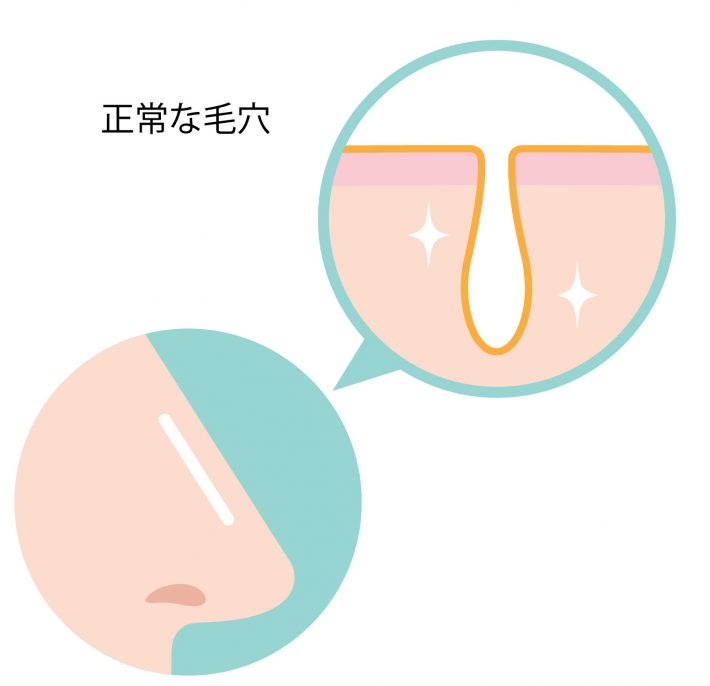 正常な毛穴