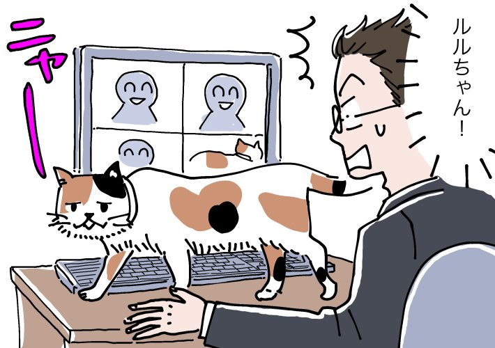 Zoom会議にルルがひょっこり