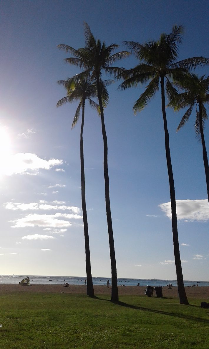 12月のアラモアナビーチ。ローカルが過ごしています。