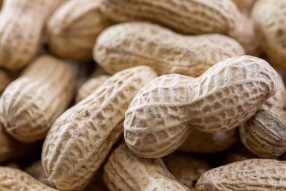 時代とともに“豆”に変化が?!