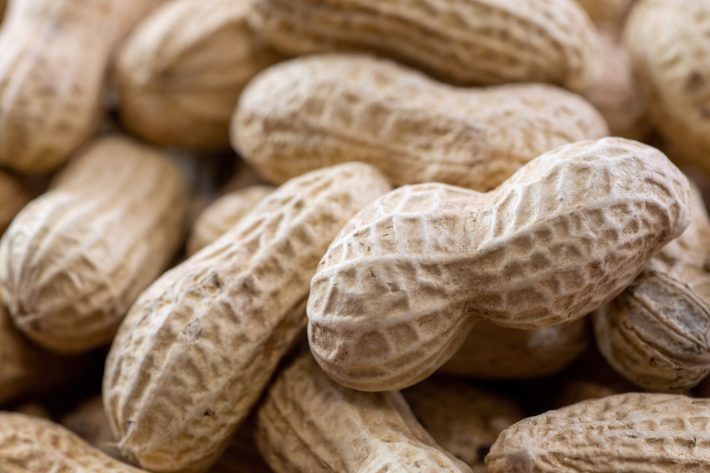 時代とともに“豆”に変化が?!