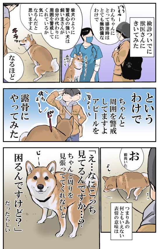 ペット 見に来る 答え方