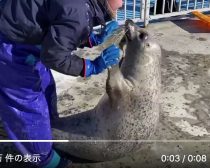 交代してみると…