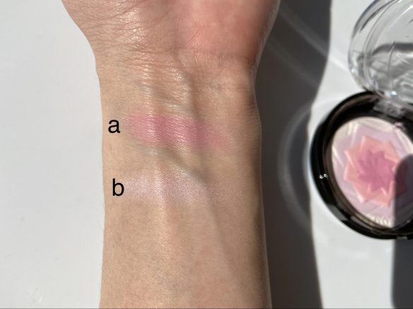 内側2色のチークカラー(a)、外側2色の美肌ハイライト (b)