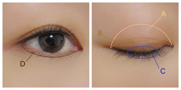 「ボス恋」上白石萌音さんに学ぶ愛されメイク