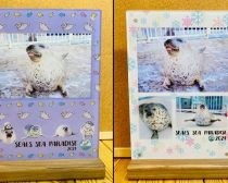 フォトスタンド