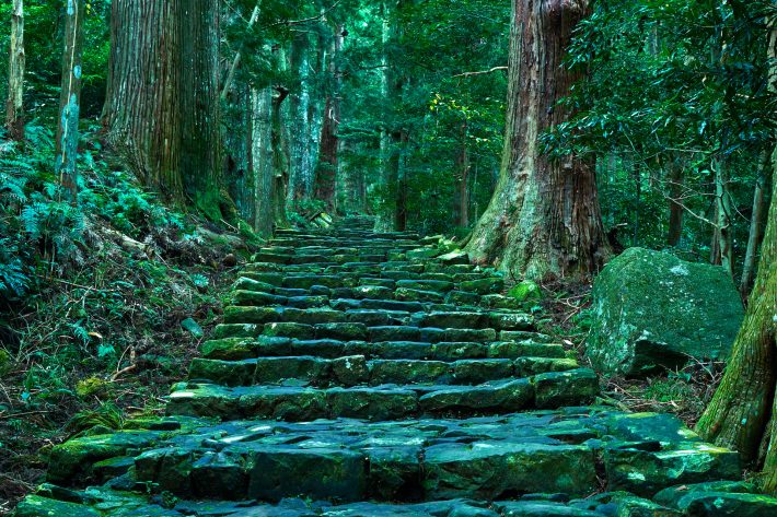 精霊たちも応援してくれている