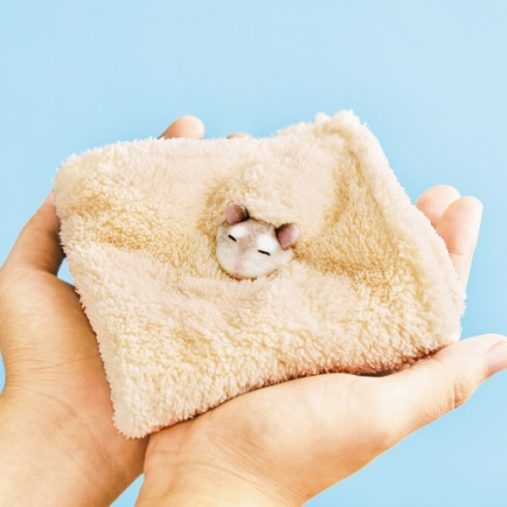 「おがくずに埋もれて眠るハムスターのハンカチ」¥1,320