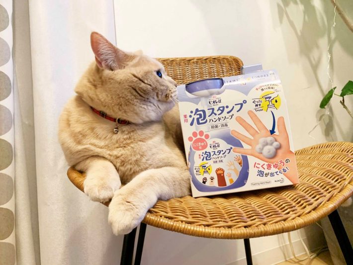 ビオレu 泡スタンプ ハンドソープ にくきゅうで出てくる マイルドシトラスの香セット