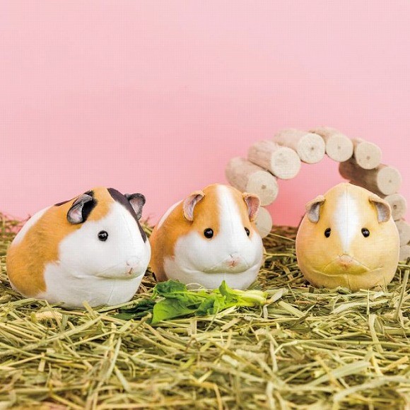 「いとしのキョトン顔 モルモットのもっちりポーチ」 ¥2,200