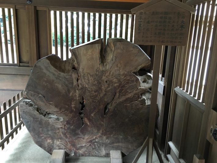 井草八幡頼朝公御手植えの松衝立