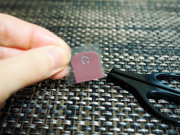 爪の付け根に合わせてはさみで切っておく