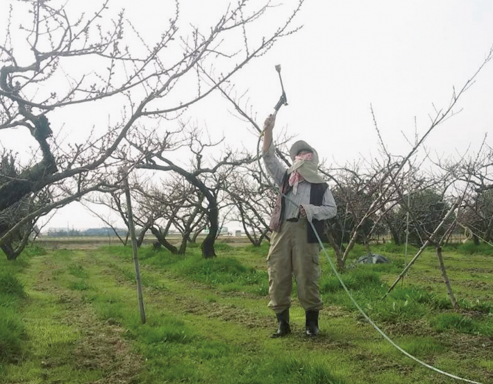 親が死ぬ前にやることリスト