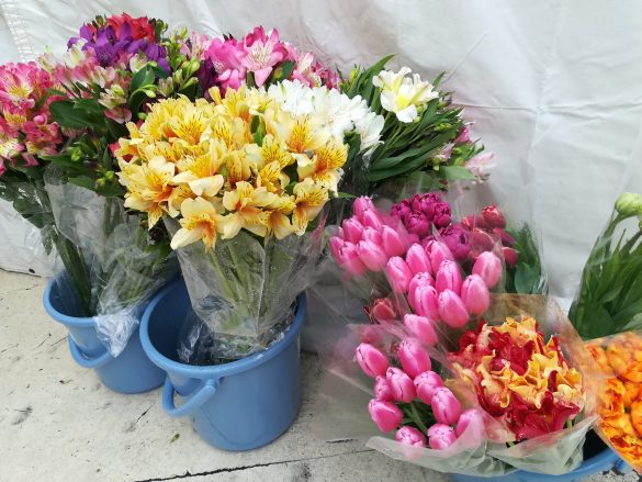 部屋に飾れる持ち帰り用のお花