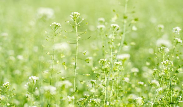 彼を失うことの怖さは常にある